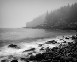 Otter Cliffs at dawn