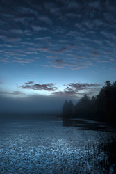 Bliss Pond before dawn